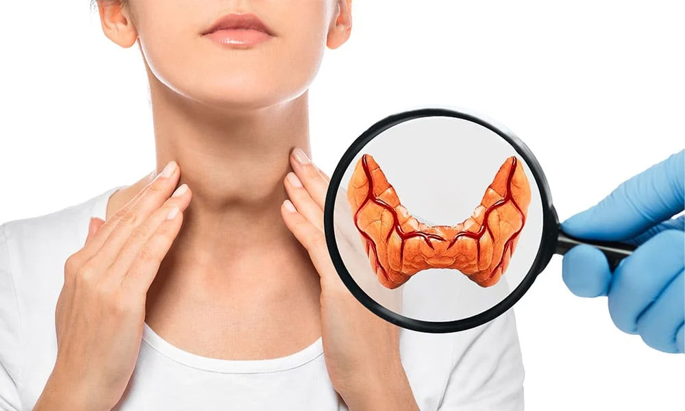 Thyroid